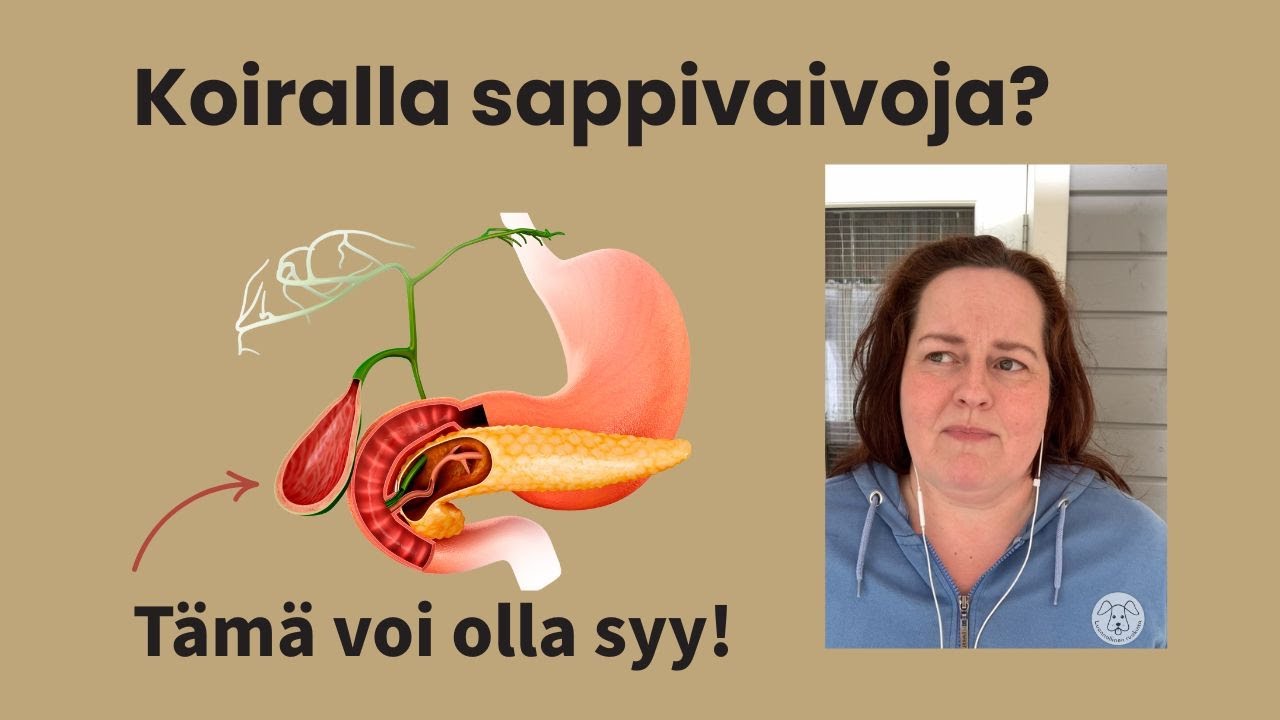 Koiran sappirakossa sakkaa? Näin ruokavalio voi auttaa – tai pahentaa!