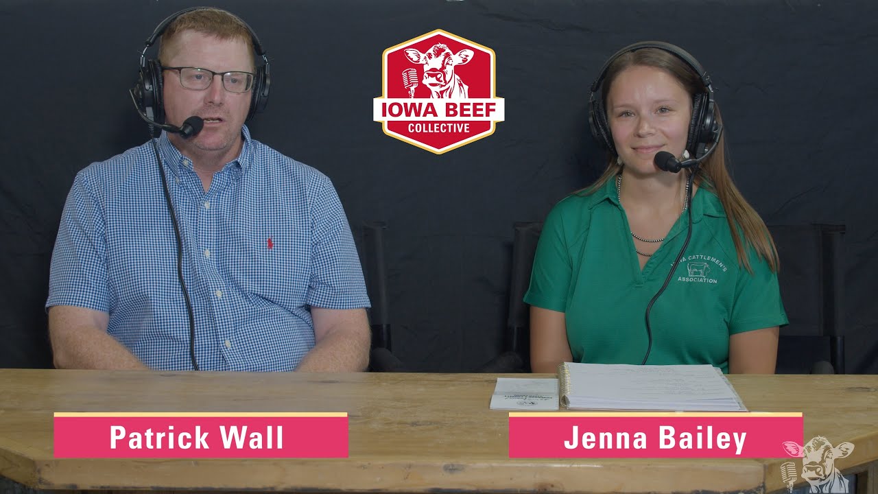 The Governor's Charity Steer Show: You Should Be a Part of It!