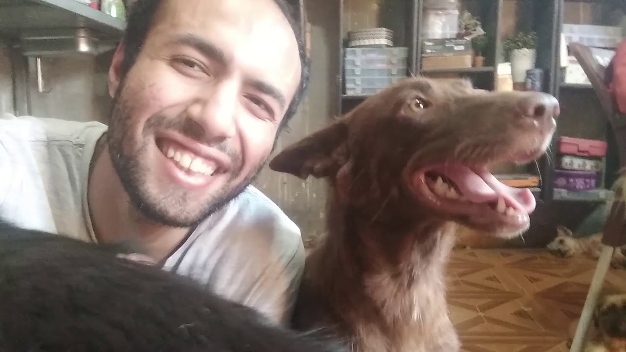 زيارة لملجأ للحيوانات (Vlog)