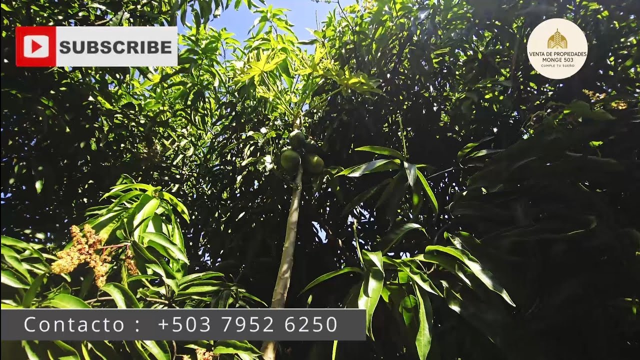Finca de Árboles Frutales en venta en Santa Barbara, El Paraíso, Chalatenango.