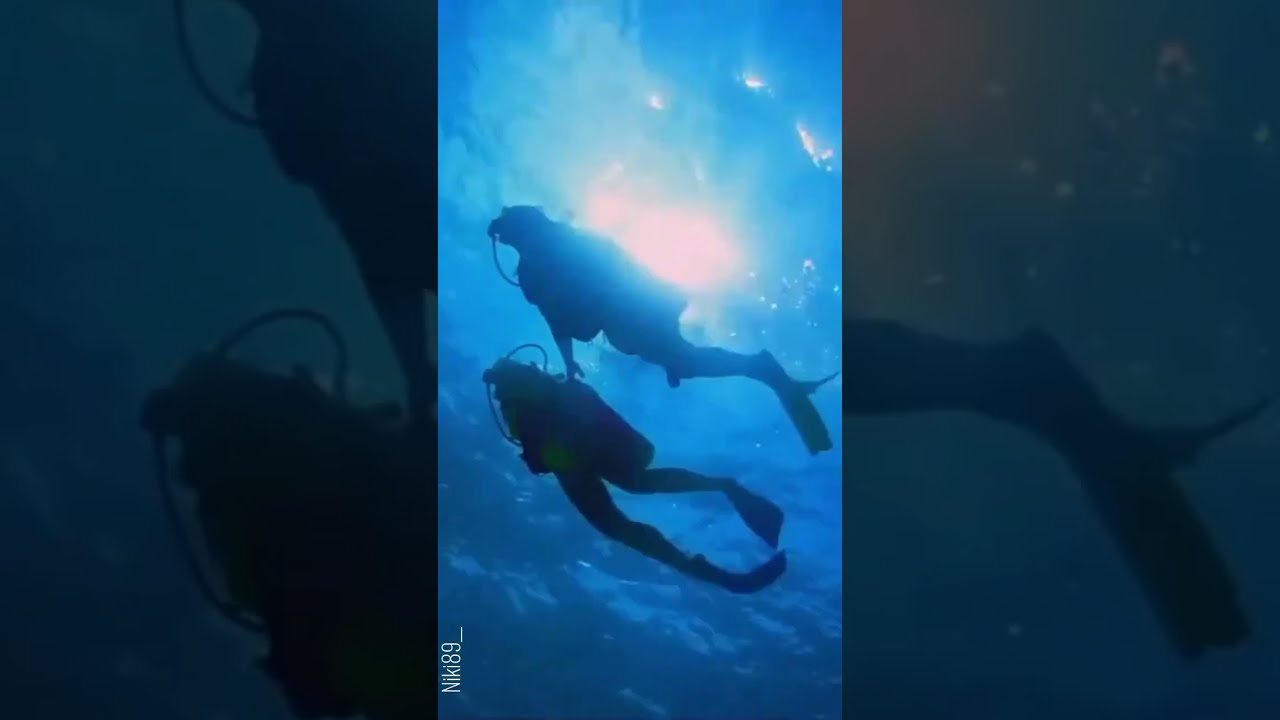 Frida Sundemo Gold (Niki's visual edits)