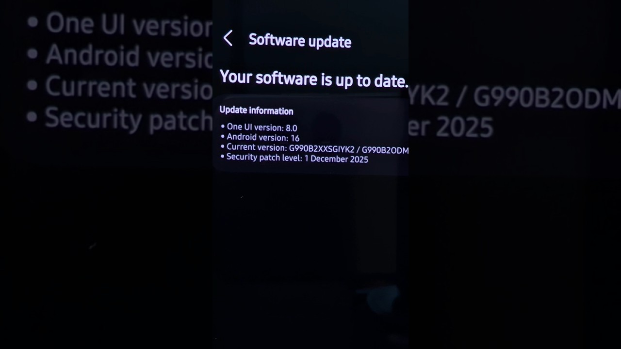 Last Software Update Of 2025 | Galaxy S21Fe 1st December 2025 Security Patch Update