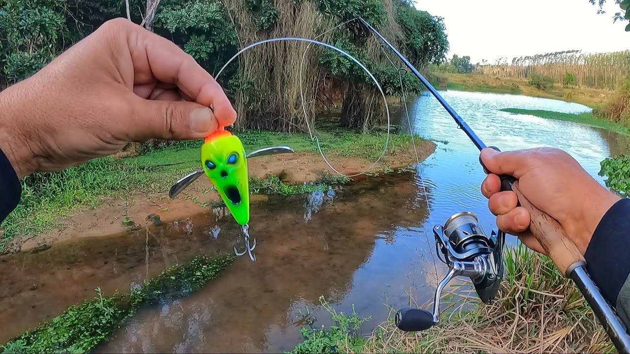 ACHEI UM CÓRREGO INFESTADO DE PEIXES...As traíras piram nessa isca louca.