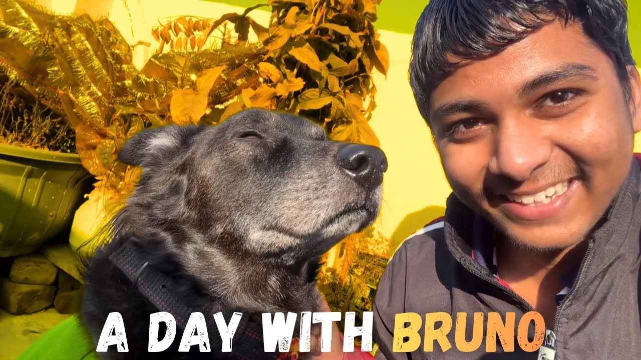A Day With Bruno❤️🤣||day98||anujbhardwajvlogs