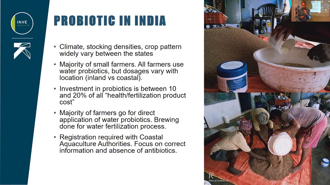 Contribution of probiotics in the increase of global shrimp production.