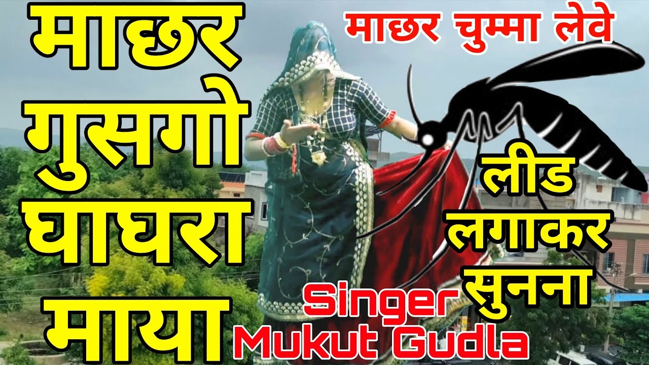 लीड लगाकर सुनना ।। माछर चुम्मा लेवे 💋💋।। माछर जोरी सू गुसगो काला घाघरा माया ।। Singer Mukut Gudla 