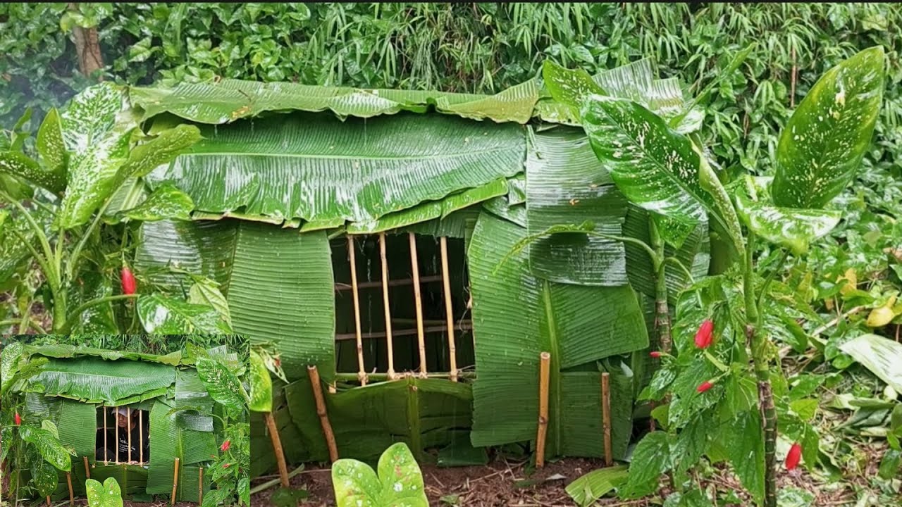 Solo camping hujan deras membuat shelter di hutan berbentuk tabung beratap daun pisang