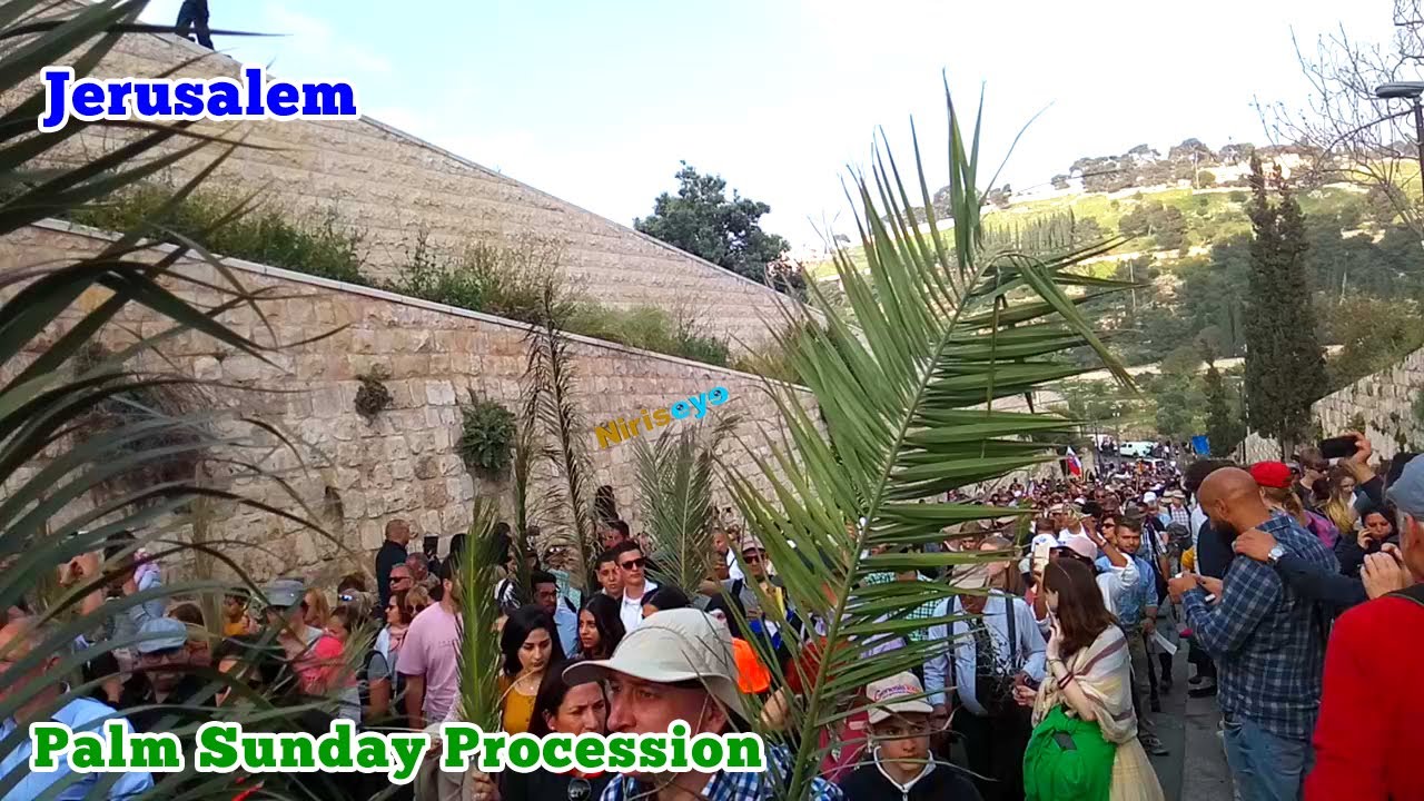 Jerusalem, Palm Sunday Procession | NirisEye