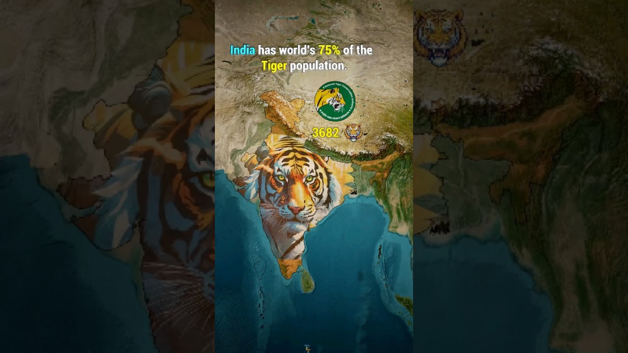 How Many Tigers Does Your State Have? 🐅 India&rsquo;s 2022 Census Explained!
