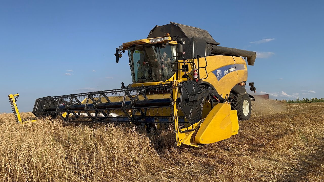 Žně 2023 sklizeň hrachu s 2x New Holland CX8080 [4K]
