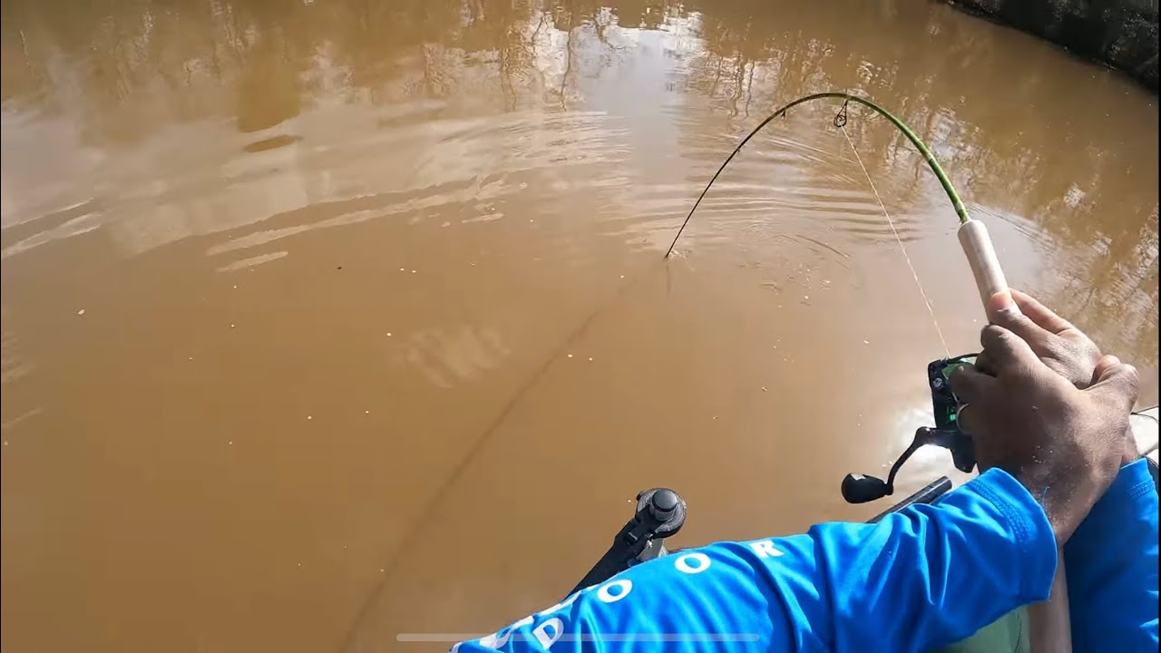 Using Livescope to Catch Pre-Spawn Crappie | Winter Crappie Fishing on Lake Houston