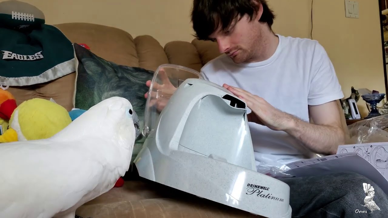 Smarty Busy Pants Onni Cockatoo