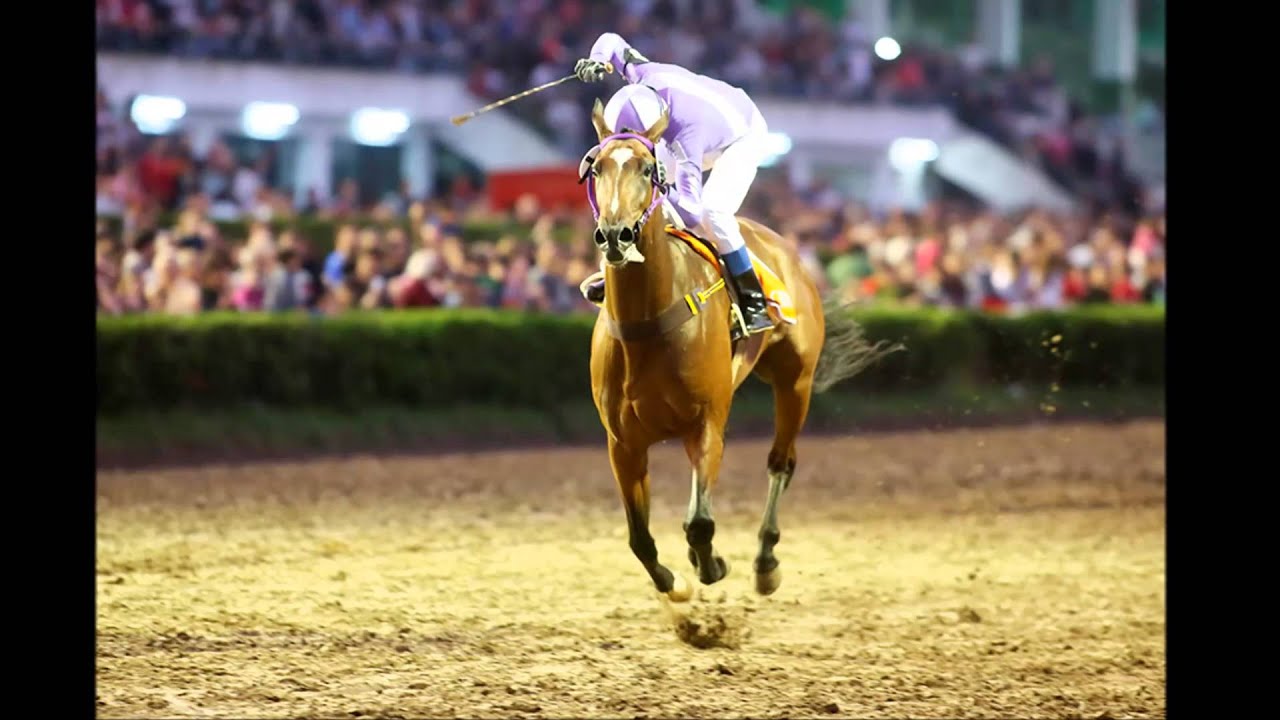 Gran Premio Dardo Rocha, noviembre 19, 2014