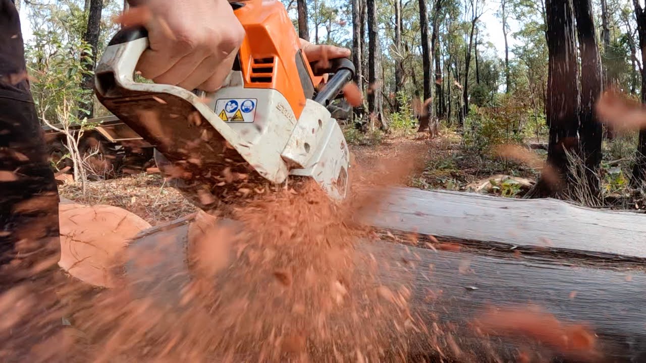 Wood chopping | Jarrah wood | Wood collection | Stihl chainsaw | Wood splitting | Chainsaws | Beer