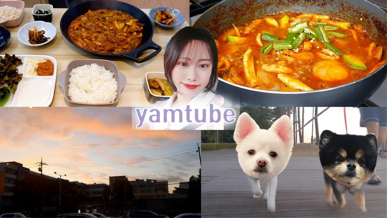 [얌튜브] 얌음이의 신혼일기 강아지 두마리와 산책하기, 오징어볶음+소불고기 짬뽕조합 레시피 ! 💞🧅🥕🥒 l 쿡방, 브이로그, 먹방, 신혼 l yamtube