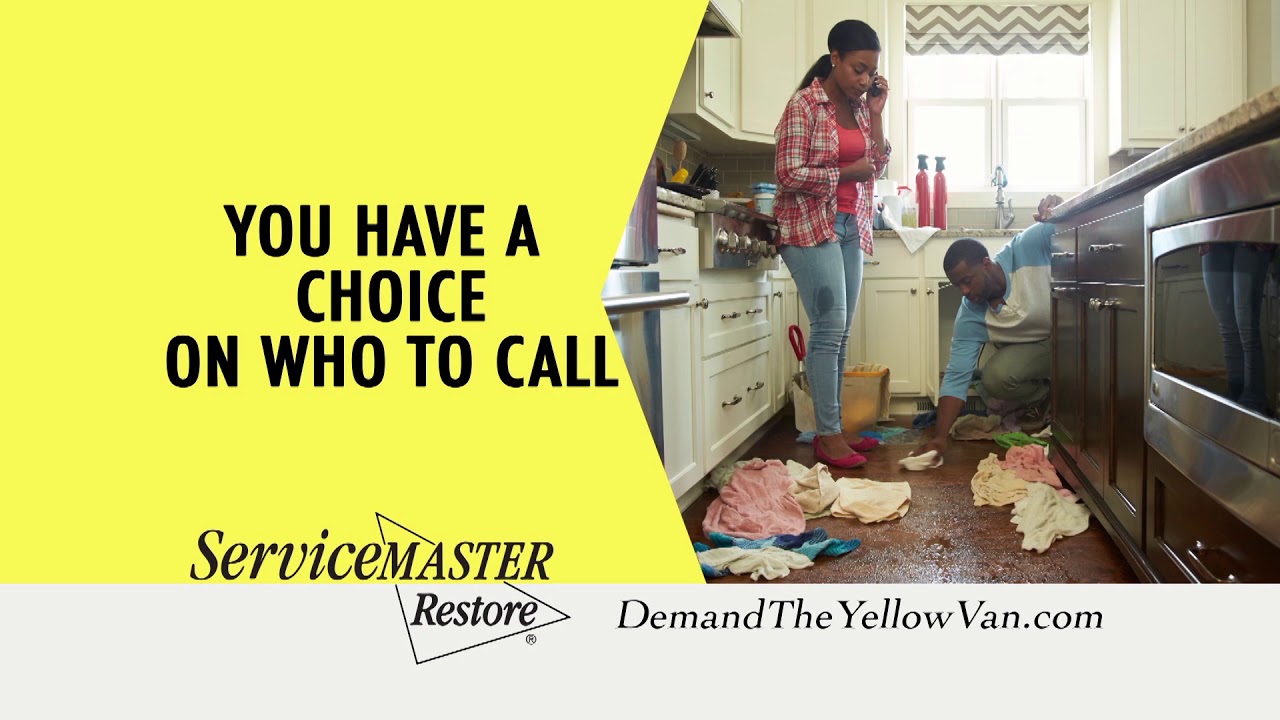 ServiceMaster - Demand the Yellow Van