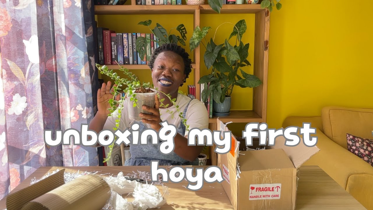 unboxing my first hoya