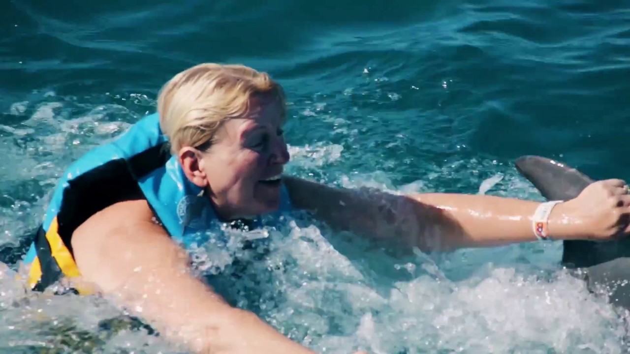 Are you ready to Swim with Dolphins in Isla Mujeres?