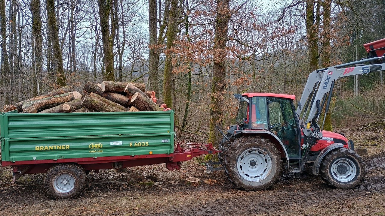 Mc Cormick C 80 L k&auml;mpft sich im Wald hoch mit vollem Kipper Brantner E6035 - Brennholz