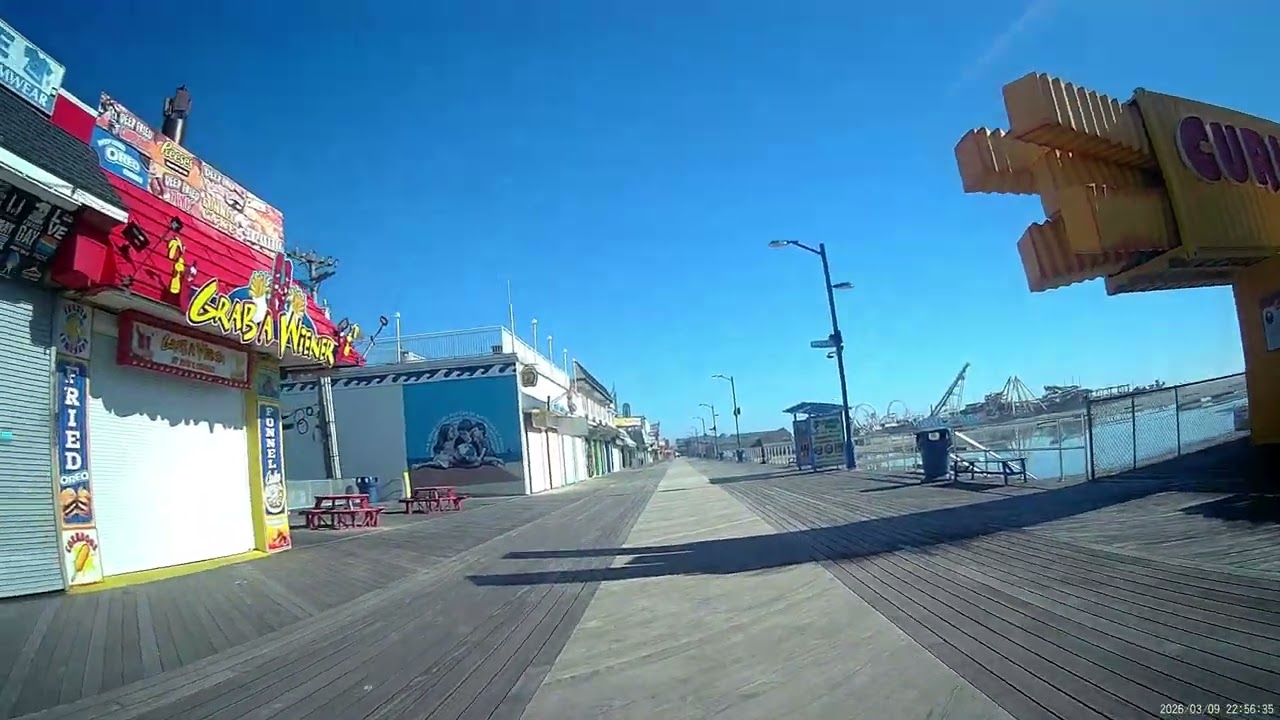 *BONUS* New Camera and Wildwood Walk