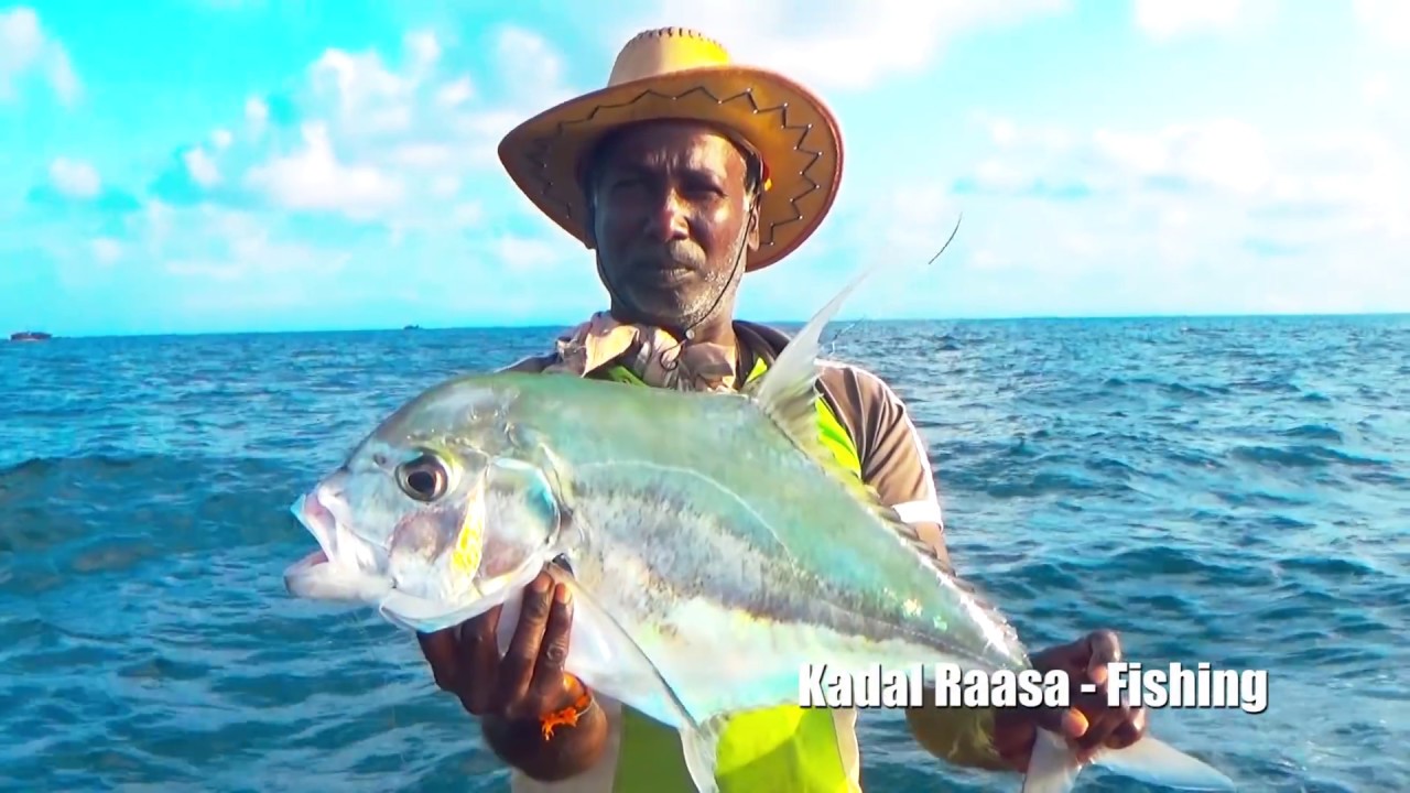 Let's Catch Some Diamond Trevally & Bludger (Fish) Catching at Deep Sea