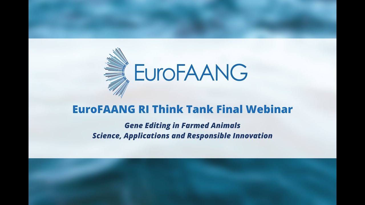 Eurofaang RI Think Tank Final Webinar
