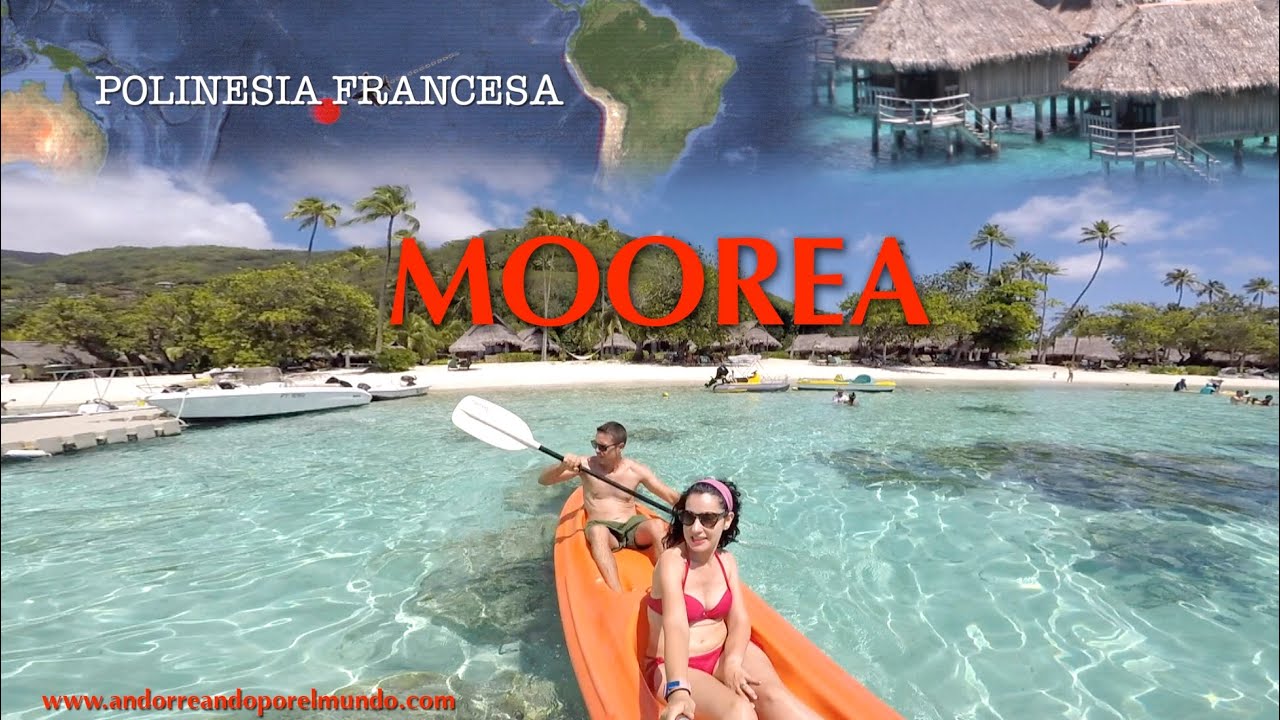 QUÉ VER EN UN VIAJE A ISLA MOOREA EN LA POLINESIA FRANCESA