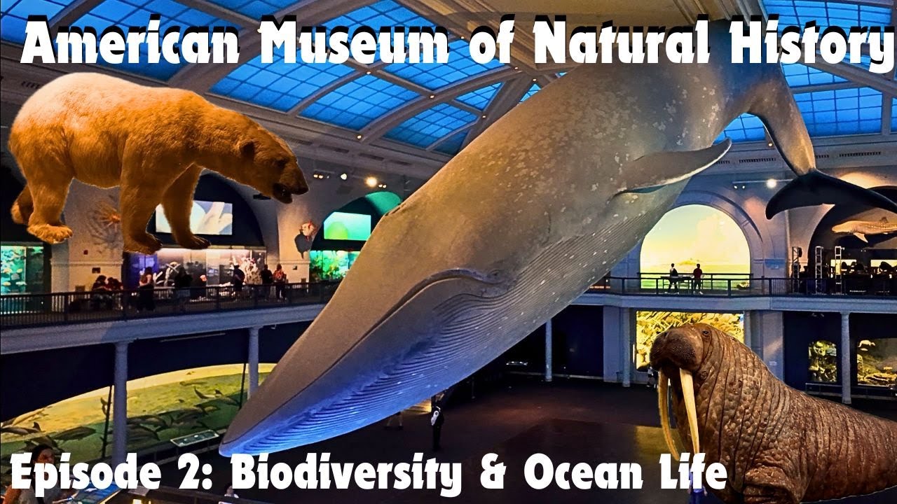 American Museum of Natural History - Episode 2: Under the Sea - Biodiversity & Ocean Life