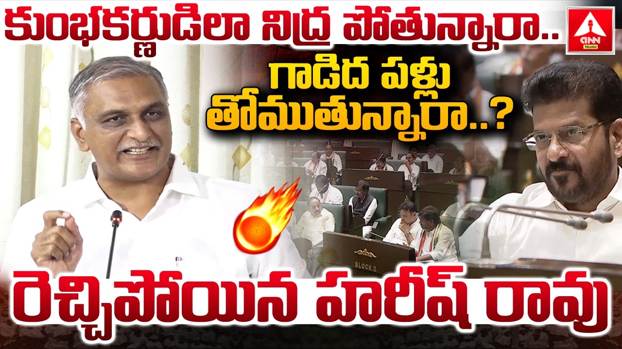 కుంభకర్ణుడిలా నిద్ర పోతున్నారా..గాడిద పళ్లు తోముతున్నారా..? | Harish Rao Aggressive Comments