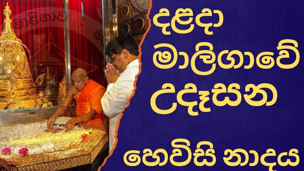 දළදා මාලිගාවේ සවස් තේවා හේවිසි – හදවත පිරිසිදු කරන නාදය 🎵 SIRI DALADA THEWA HEVISI NADAYA