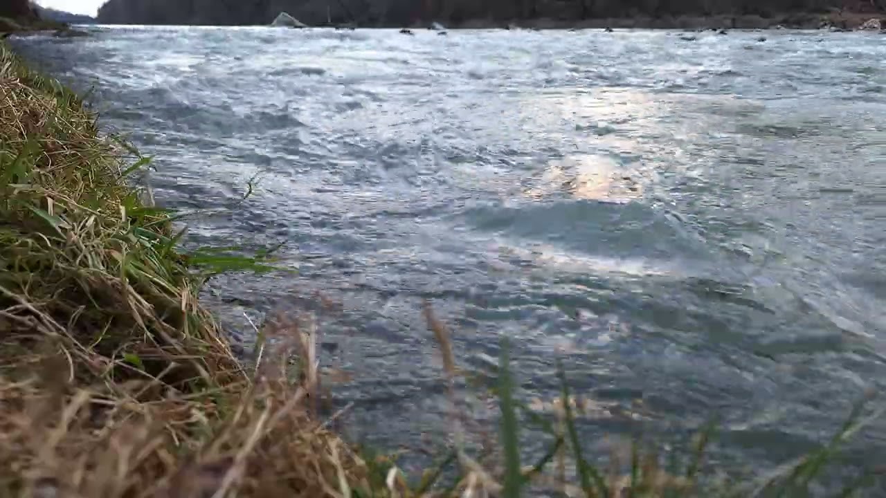 Here in the Cold