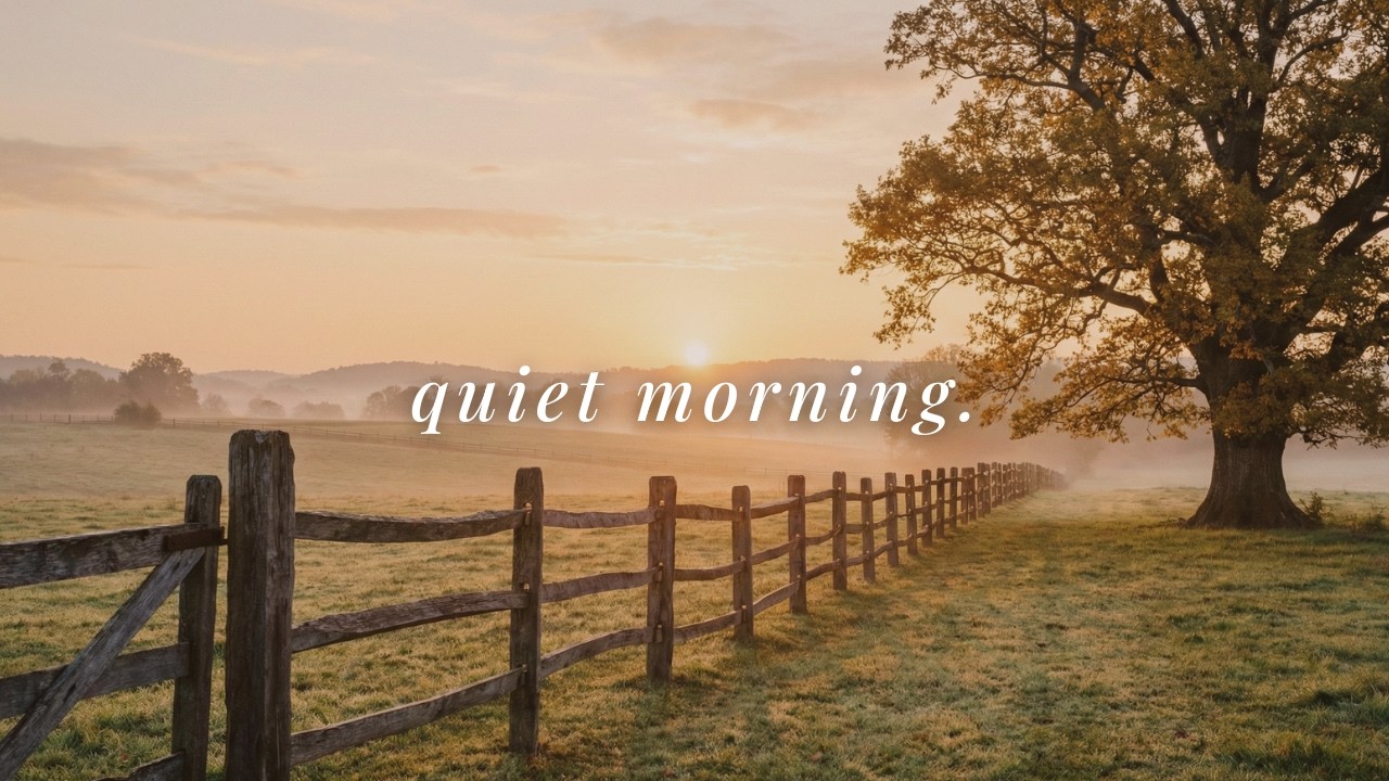 little joys of a quiet morning | piano playlist
