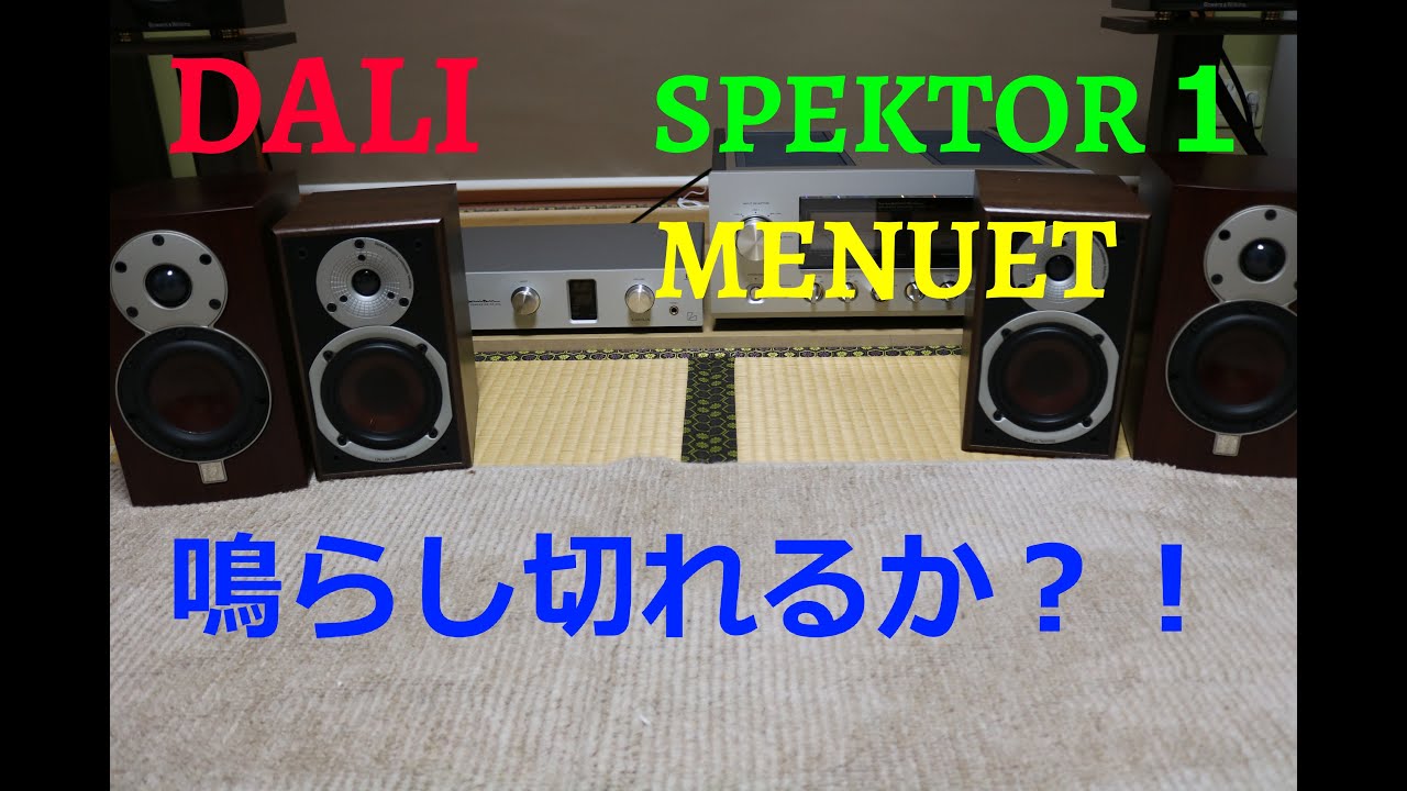 DALIファン必見！　SPEKTOR1　MENUET　鳴らし切り挑戦【空気録音】