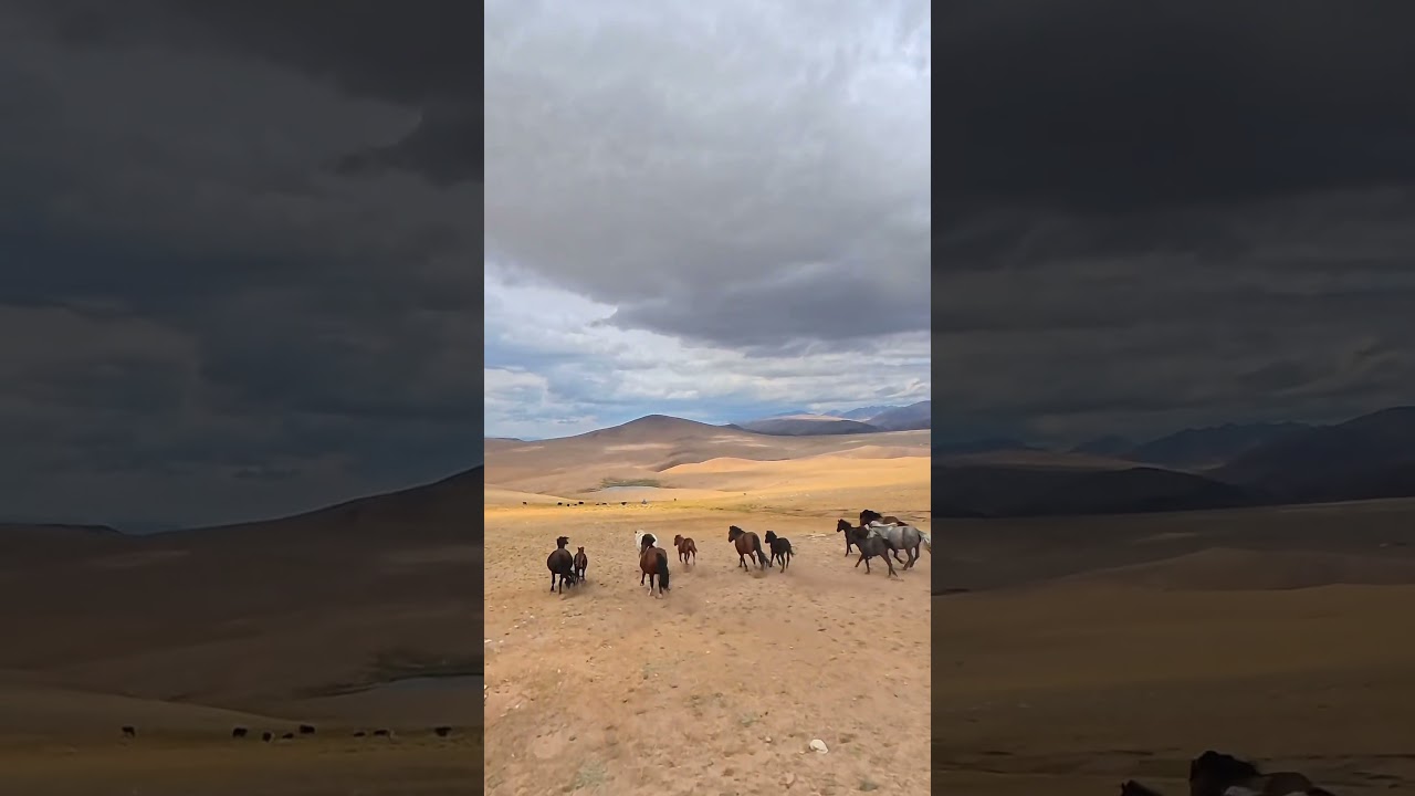 #spirit
