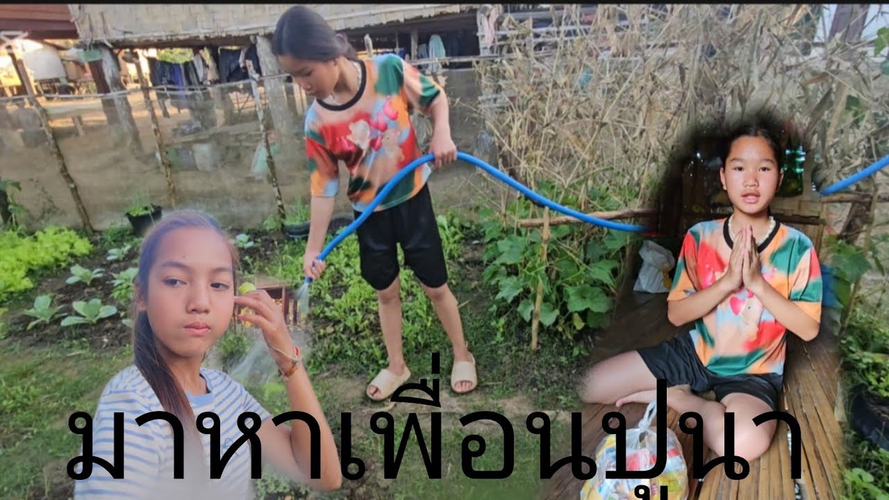 12 กุมภาพันธ์ ค.ศ. 2026