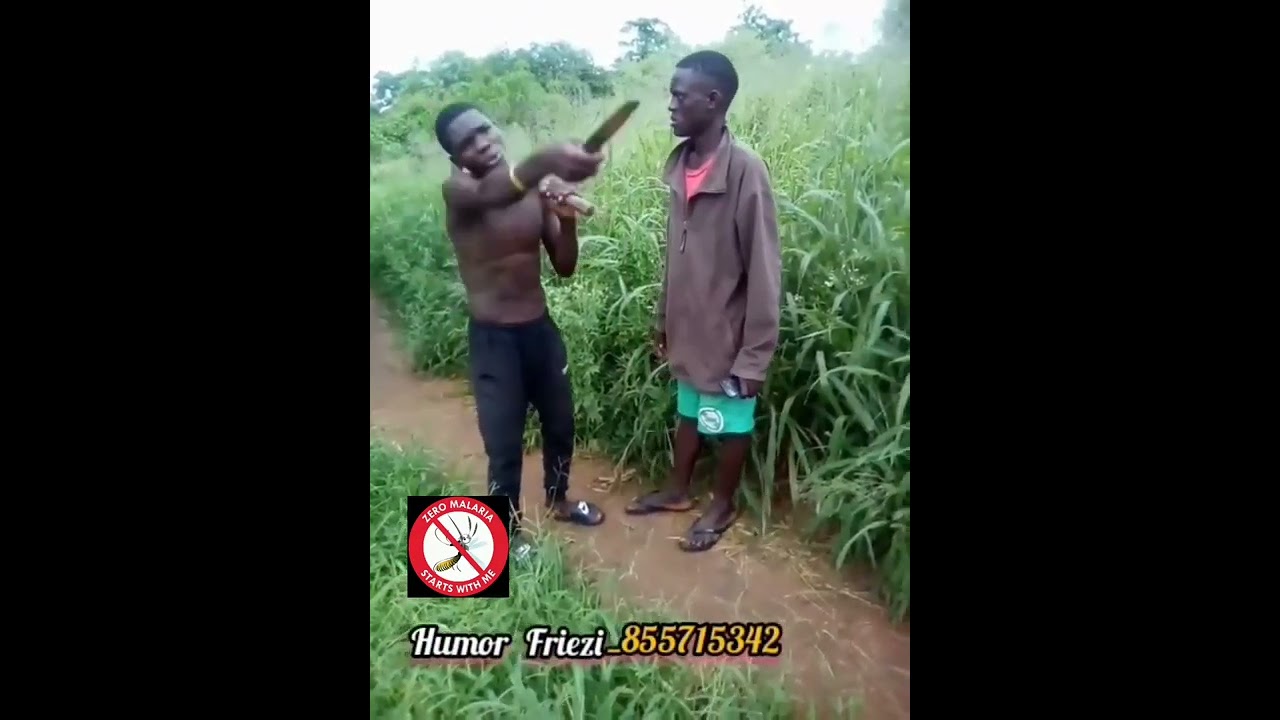 A luta Friezi contra os mosquitos