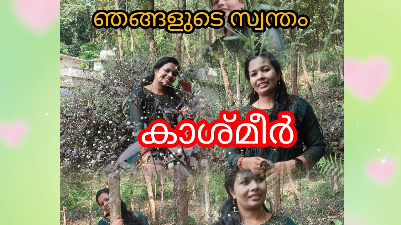 ഒരു മഴയ്ക്കു ശേഷം⛅⛅🌞🌞🌫️🌫️🌫️