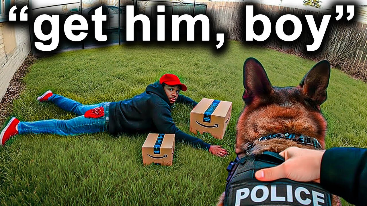 When K-9 Units TAKE DOWN Bad Guys
