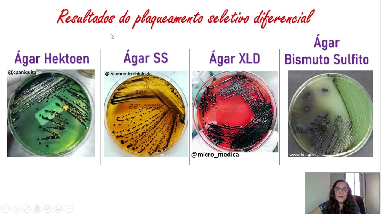 Análise microbiológica de Salmonella sp.