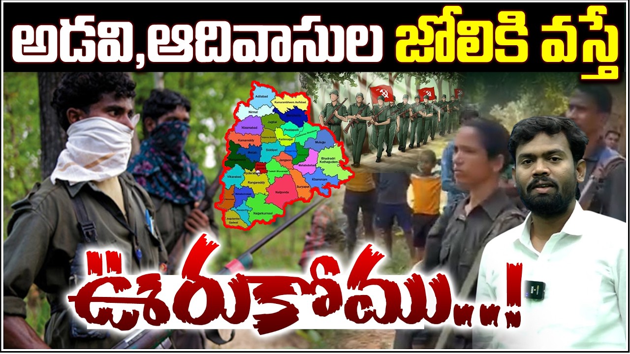 అడవి,ఆదివాసుల జోలికి వస్తే ఊరుకోము..! | Qnews