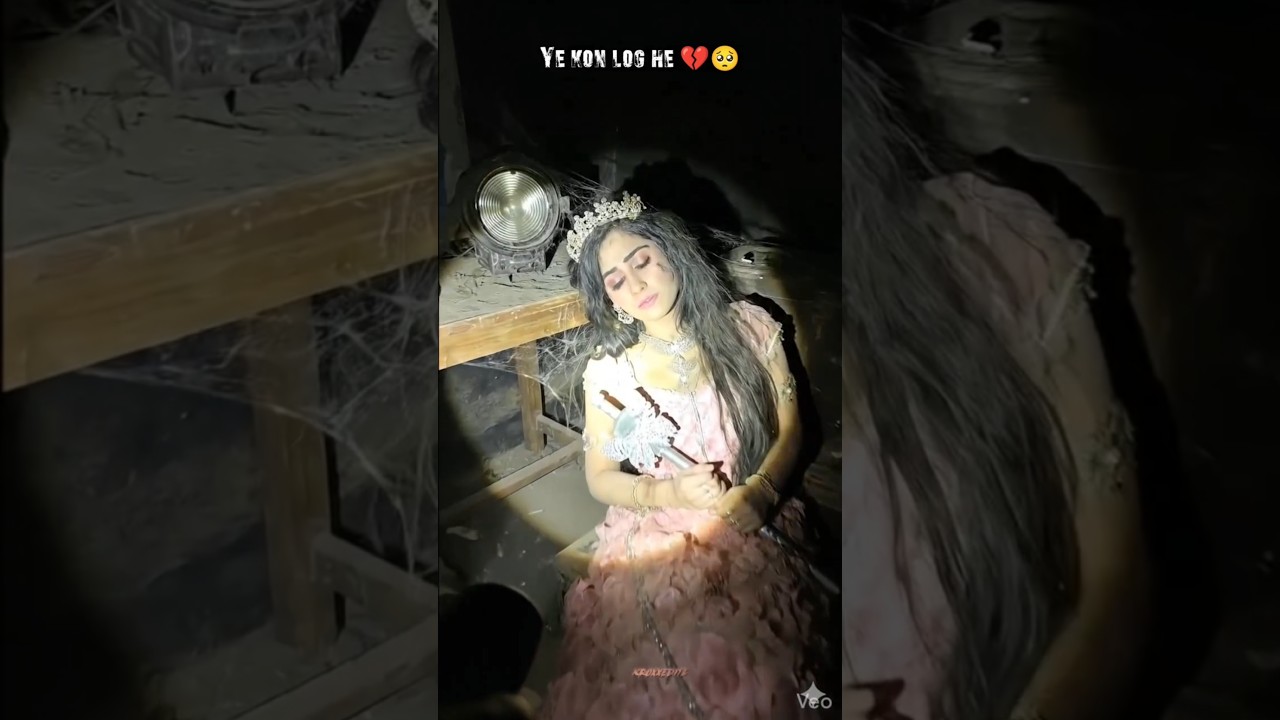 ye Kom log hai or kaha gye ye sab 