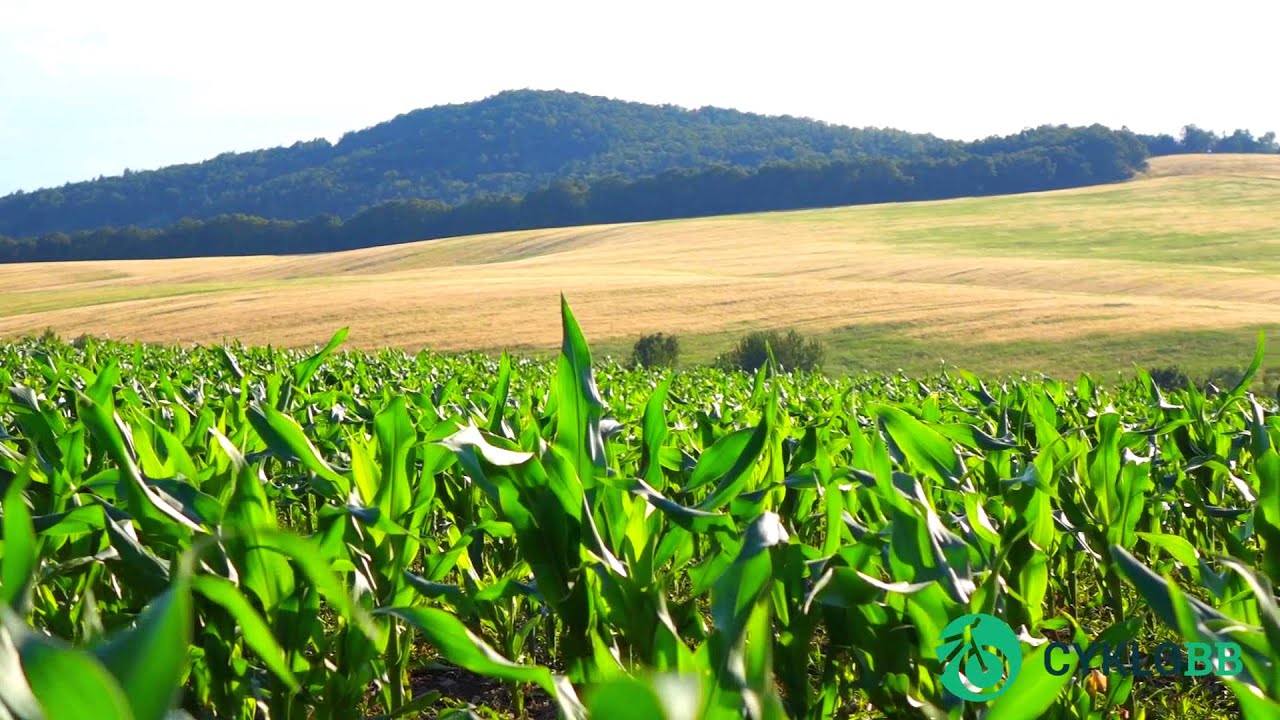 Cyklotrasa č. 2: BB - M&ocirc;lča - Hor. Mičin&aacute; - Vlkanov&aacute; - BB
