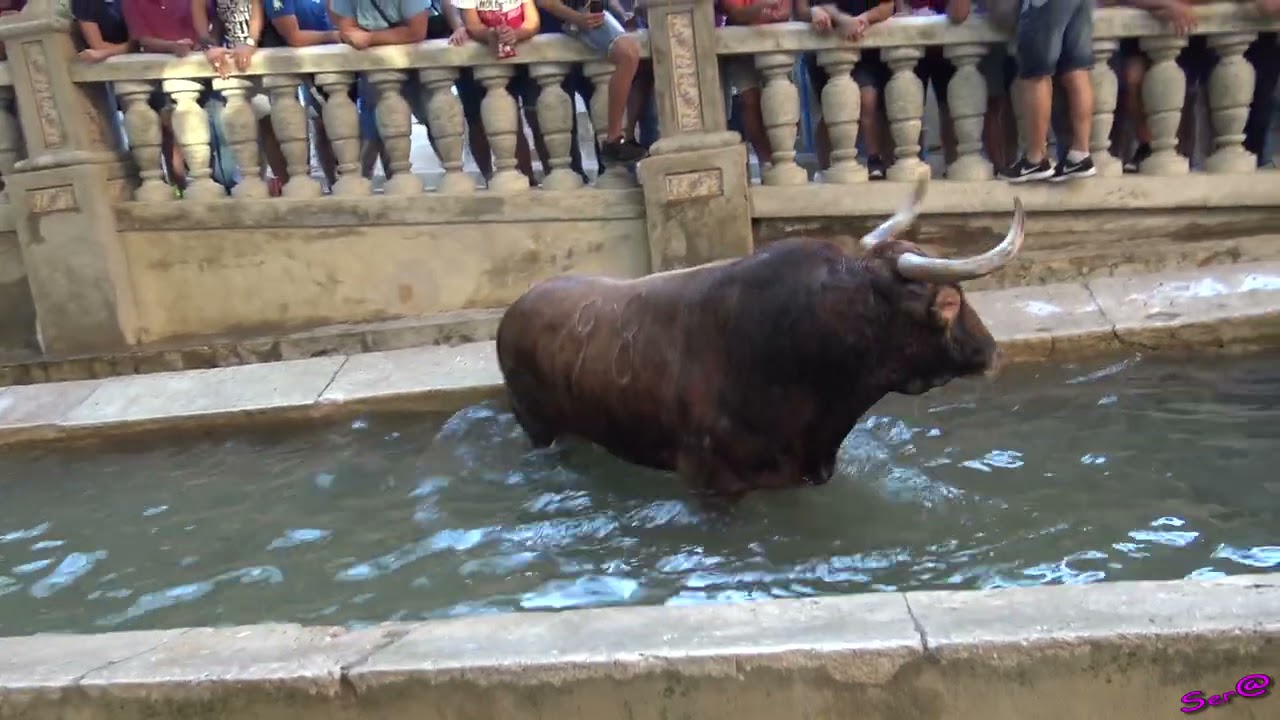 ANNA 03  GRANDES RECUERDOS  Dos Toros Cerriles