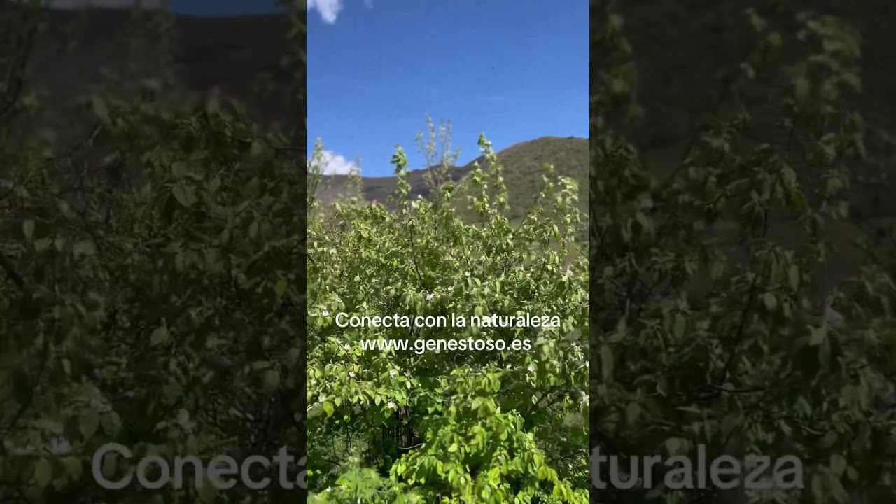 Conecta con la naturaleza en Genestoso #hotelrural #monta&ntilde;a #relaxing #asturias #vacaciones #viajes