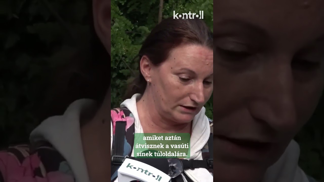 &Aacute;ldatlan &aacute;llapotok az egykori M&Aacute;V telepen