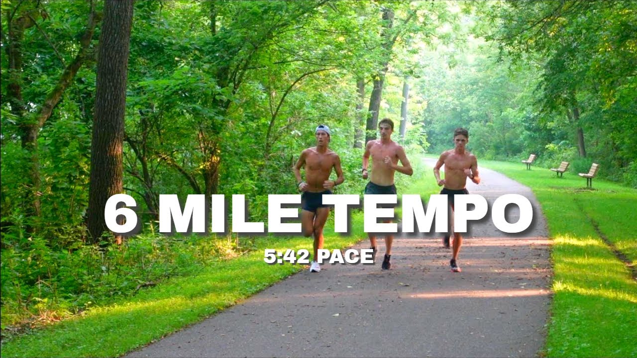 6 Mile Tempo | Summer XC Training