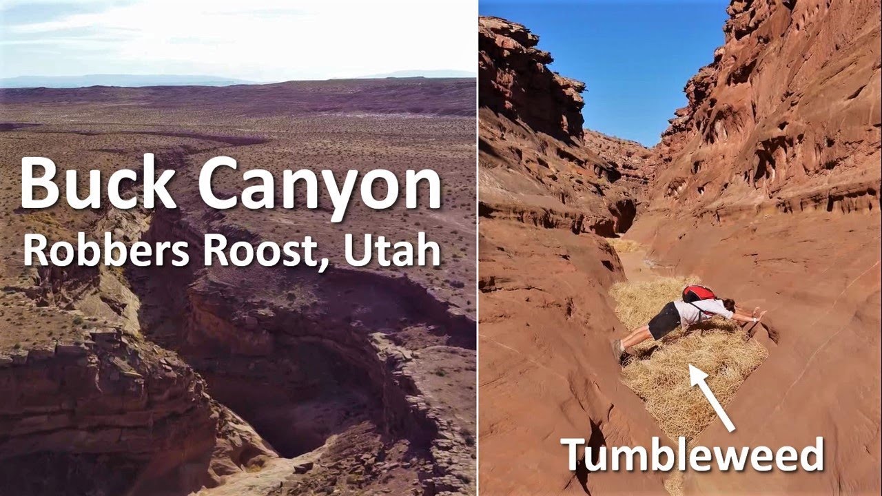 Buck Canyon, Robbers Roost, Utah