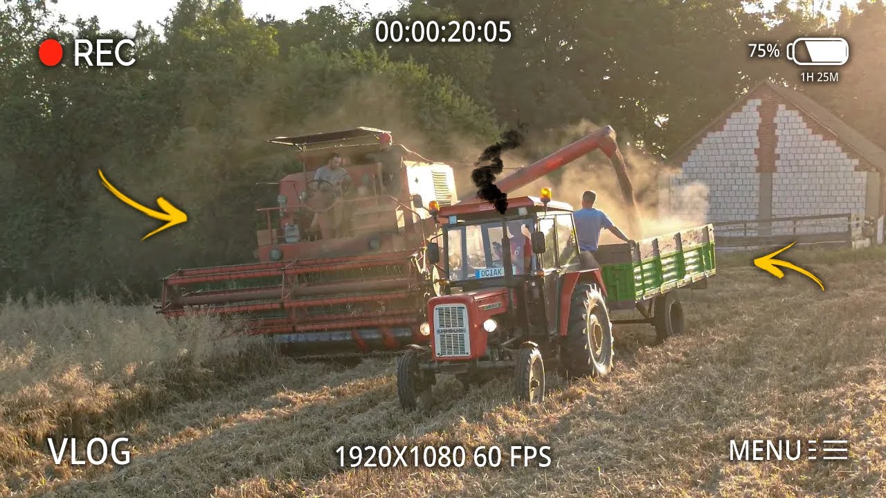 ŻNIWA 2025 - BIZON Z050 + URSUS C360 - TRANSPORT & SYPANIE W LOCIE - GO PRO HERO 10