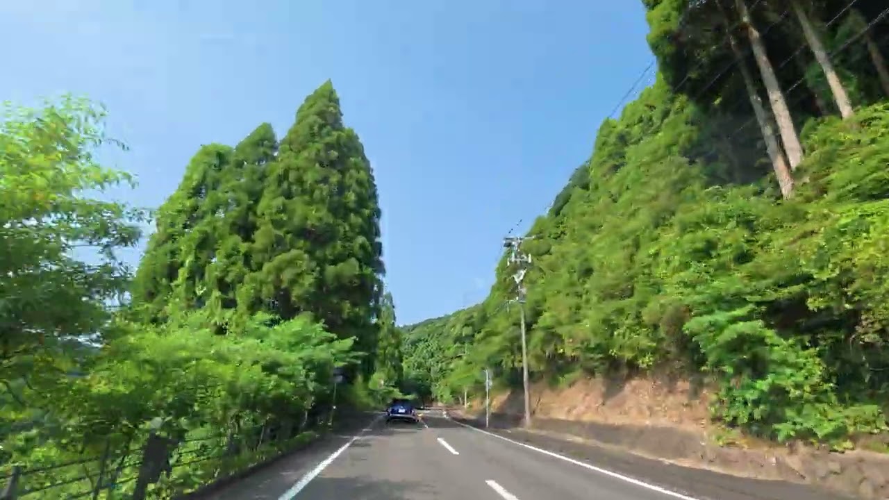 【車載動画】針尾公園～鹿児島県道47号線～上り浜パーク