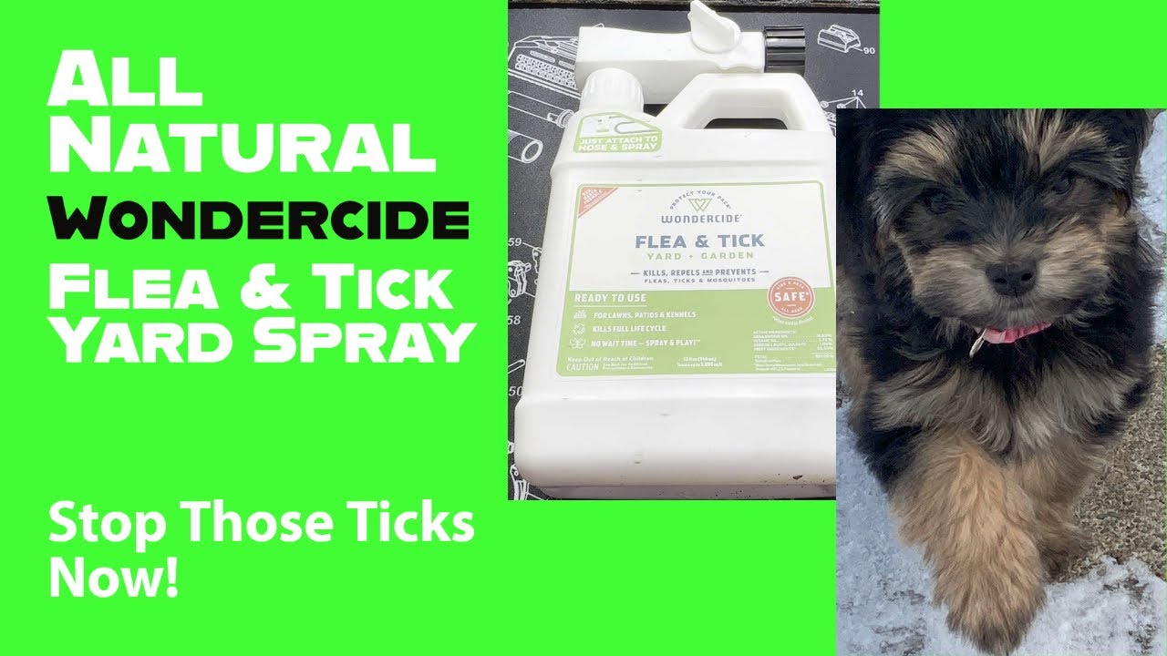 All Natural Wondercide Flea & Tick Yard Spray Full Review & Tips For Use